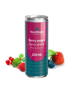 Iso Drink Red Berries