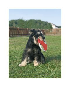 Hunde-Wurfscheibe