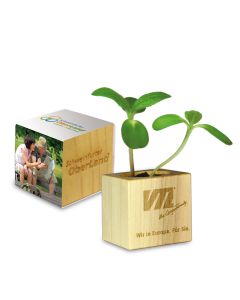 Pflanz Holz bedrucken