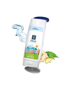 DuoPack Handbalsam Ingwer-Limette + Hände-Desinfektionsgel (2 x 50 ml)