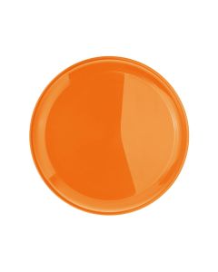 Wurfscheibe "Jupiter"