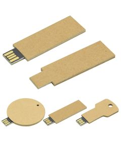 USB Stick Greencard square