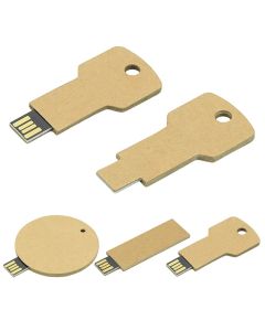 USB Stick Greencard key