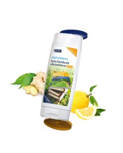 DuoPack Handbalsam Ingwer-Limette + Handreinigungsgel (2 x 50 ml)