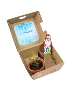 Pflanzen-Mix mit Tontöpfchen und Schoko-Nikolaus individuell bedruckt  (ab 250 Stück) 