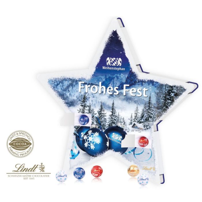 led leuchtmittel fr weihnachtsstern LED Auen-Weihnachtsstern Nova 60cm IP65 online kaufen