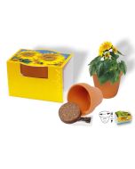 Pflanztöpfchen Sonnenblume bedrucken