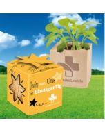 Pflanz-Holz Star-Box Ostern bedrucken (ab 250 Stück)